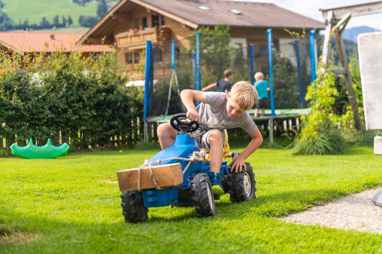 Hartlhof Urlaub Am Baby- Und Kinderbauernhof Villa Niederau Exterior photo